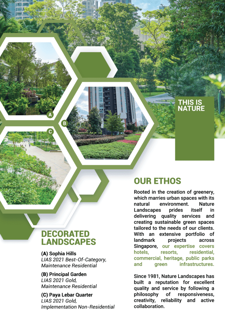 Maintenance Brochure