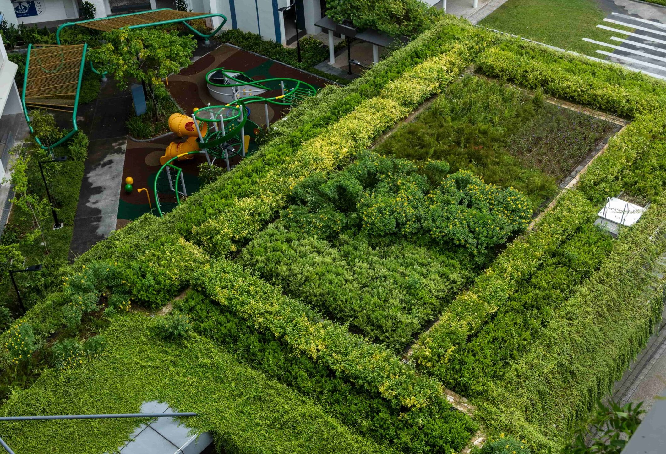 A green roof